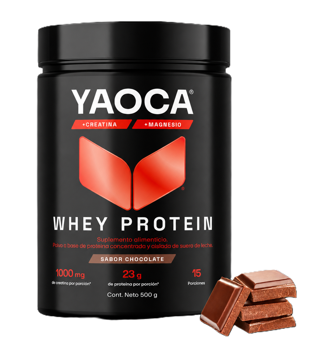 WHEY PROTEIN 500G CHOCOLATE 15 SERV