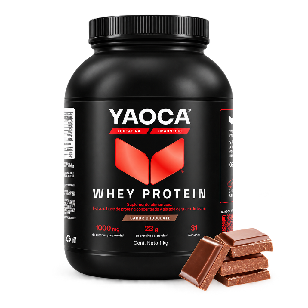 WHEY PROTEIN CHOCOLATE 1KG 31 SERV